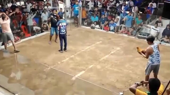 CHAMPION🏆❗IN JUST 5 SECONDS, FASTEST KILL❗                              #RED KELSO 3XWINNER.❗