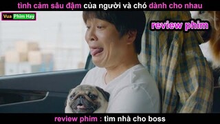 Tình Cảm sâu Đạm Giữa người và chó - Review phim Tìm nhà cho Boss