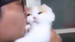 Kucing: Aku sudah Terprovokasi