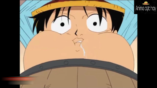 Những kiểu ăn của Luffy #Animecuchay #schooltime