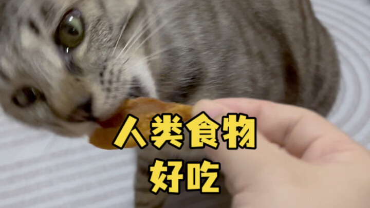 ماو ماو: واو، طعام البشر لذيذ!