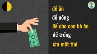 Xử Trí 18 Câu Đố Đến Cả Giáo Viên Của Tôi Cũng Không Thể Giải #kienthuc