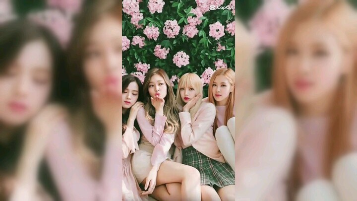 BLACKPINK
