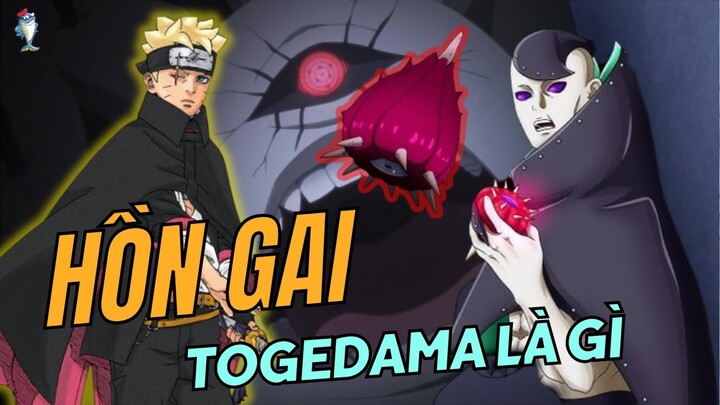 HỒN GAI THẬP VĨ LÀ GÌ | BORUTO BLUE VORTEX