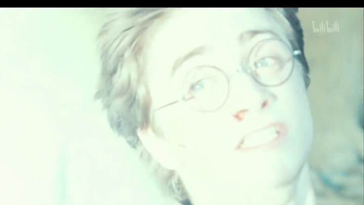 【Harry Potter Parts 1~7】Complete! Collection of spells!