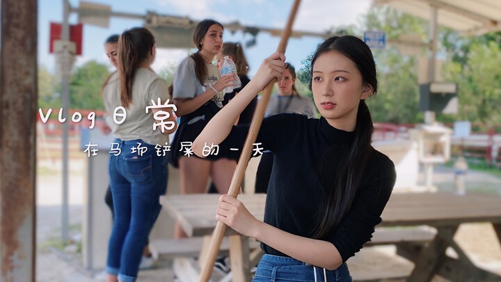 فِلُوغ يومي | روتين المدرسة الثانوية الأمريكية: كيف تبدو تجربة تنظيف حظائر الخيول في مزرعة الخيل؟