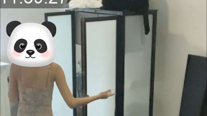 My daughter said there was a thief in the house and the cat was missing.