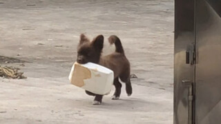 Every time you go out, you have to take something home with you