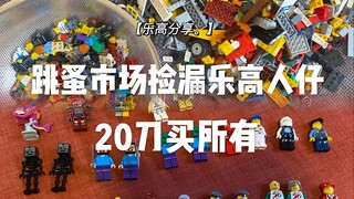 乐高分享 | 跳蚤市场捡漏的20块钱一袋5斤散件加乐高人仔分享