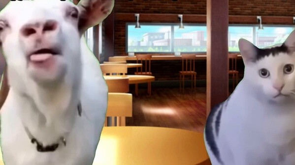 【Cat meme】About a junior high school student who dropped out of school due to depression and suddenl
