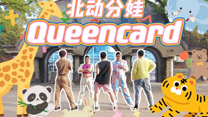 Is the boy here at Baidu to promote his song? The most confident Queencard performance online | Zoo 