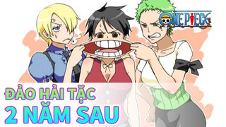 [Đảo Hải Tặc] Loạt phim về 2 năm sau - Luffy / Roronoa / Sanji