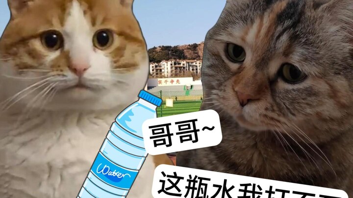 ความแตกต่างของผู้หญิงก่อนและหลังมีความรัก