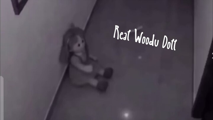 Real Woodu Doll