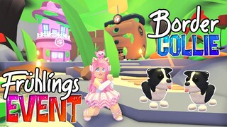 Adopt Me! 💐FRÜHLINGSEVENT💐 mit *limitiertem* BORDER COLLIE 🐶 Roblox Update DEUTSCH