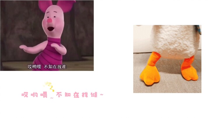 [Mr. Jiang] The “Little Pig Waiting Song” is here (with a little pig charging sound effect at the st