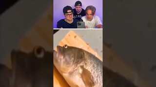 1vs1 Try not to Laugh ❗️ |  252