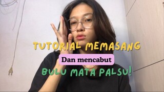 Tutorial memasang dan melepas bulu mata palsu 🪶