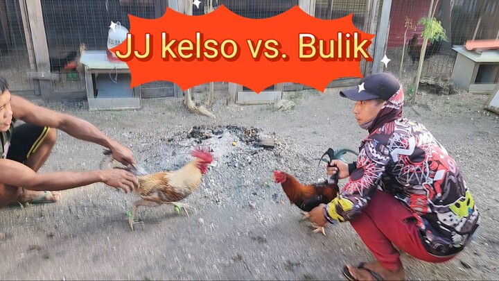 JJ kelso vs. Bulik