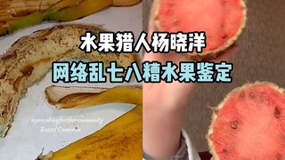 [水果ฮอนเตอร์ x ฮันเตอร์ ] การระบุวิดีโอผลไม้ยุ่งๆ บนอินเทอร์เน็ต