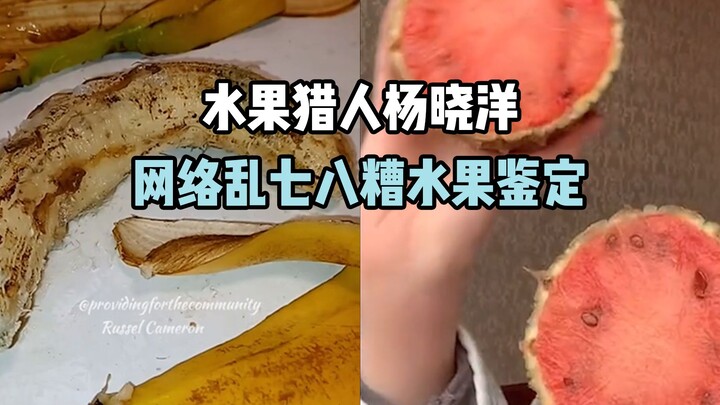 【水果猎人】鉴定网络乱七八糟水果视频