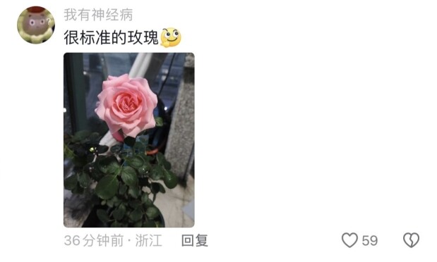 Benda-benda yang bentuknya sangat standar hahaha, benar-benar sesuai banget sama stereotip aku!