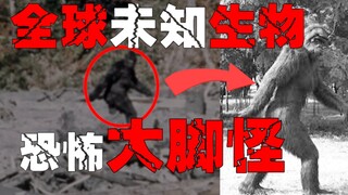 【المخلوق ذو القدم الكبيرة】 ظهور آثار المخلوق ذي القدم الكبيرة في جميع أنحاء العالم، هل هو زيارة من ك
