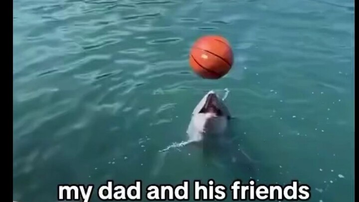 Dolphins are passing masters.