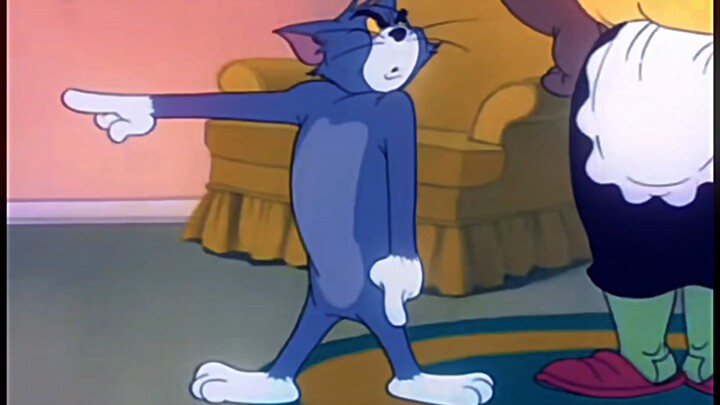 Tom meme compilation — if you don’t have memes, get out