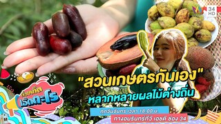 "สวนเกษตรกันเอง" หลากหลายผลไม้ต่างถิ่น | เรื่องเด็ดเอ็ดตะโร