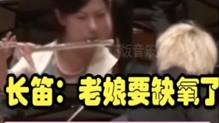 Sáo flute: Thôi xong, cây này nhắm vào tôi rồi