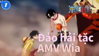 [Đảo hải tặc AMV] Wia / Phiên bản TVXQ!_1