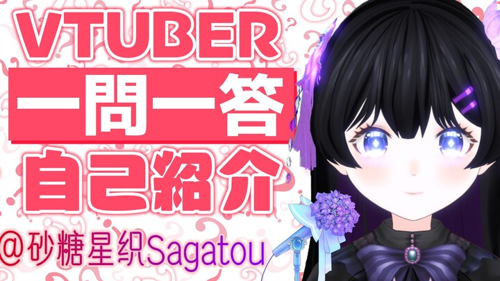 【新人Vtuber一问一答自我介绍】初见便立下涨100粉换一套新衣的Flag！