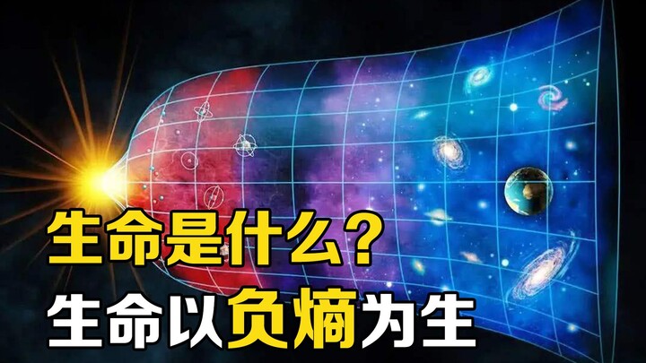“熵”是什么？用概率思维理解“熵增定律”，宇宙万物终将死亡！
