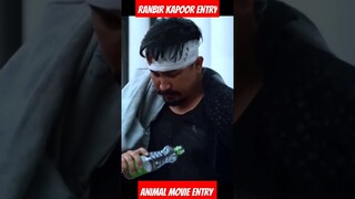 ANIMAL MOVIE ENTRY|| ANIMAL MOVIE RANBIR KAPOOR ENTRY|| RANBIR KAPOOR ENTRY ANIMAL #ANIMAL MOVIE