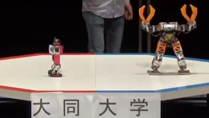 Robots can be this cute too