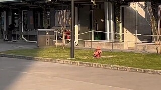 视频较长建议边吃饭边看！进厂真的很累吗？今天带大家看看！ #内容过于真实 #进厂打工