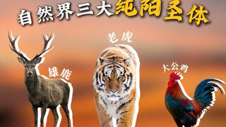 Bạn có biết ba thân thánh dương thanh tịnh là gì không?