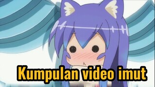 Kumpulan video imut