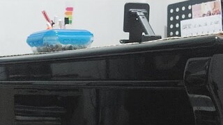 Test Piano Livestream On New Camera