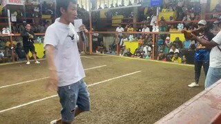 3rd fight loss,