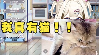 我真有猫！！【栞栞Shiori】