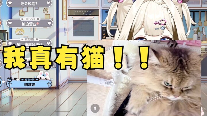 我真有猫！！【栞栞Shiori】