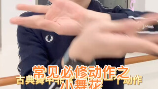 Giải thích chuyển động cơ bản thường gặp trong múa cổ điển (hoa múa nhỏ) với tốc độ chậm