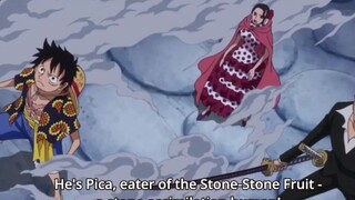 picca vs zoro