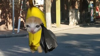 Banana Cat wants to drink milk tea, so he goes to pick up trash and ends up crying again.