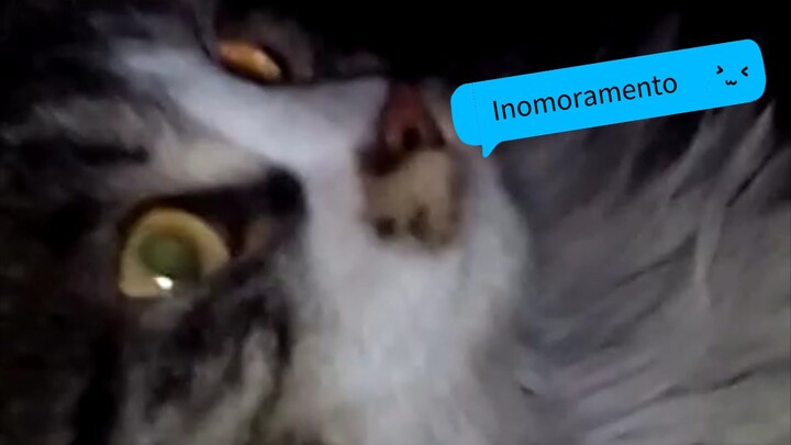 Inomoramento  Mylene Farmer