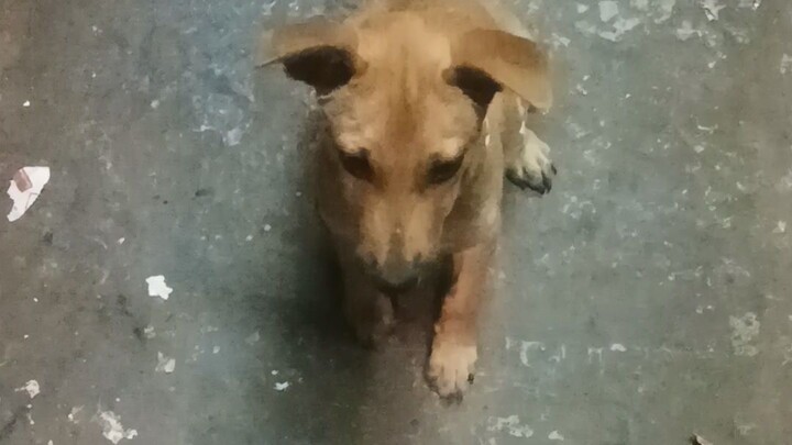 c bronie na makulet haha