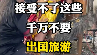 หากรับไม่ได้อย่าเดินทางไปต่างประเทศ #旅行攻略#旅行推荐官#带你看世界#抖音看世界#外旅游注意事項