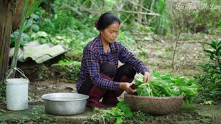 Mẹ thu hoạch vườn rau cải nấu các món ăn chờ con về (Dishes From Green Vegetables) I Ẩm Thực Mẹ Làm